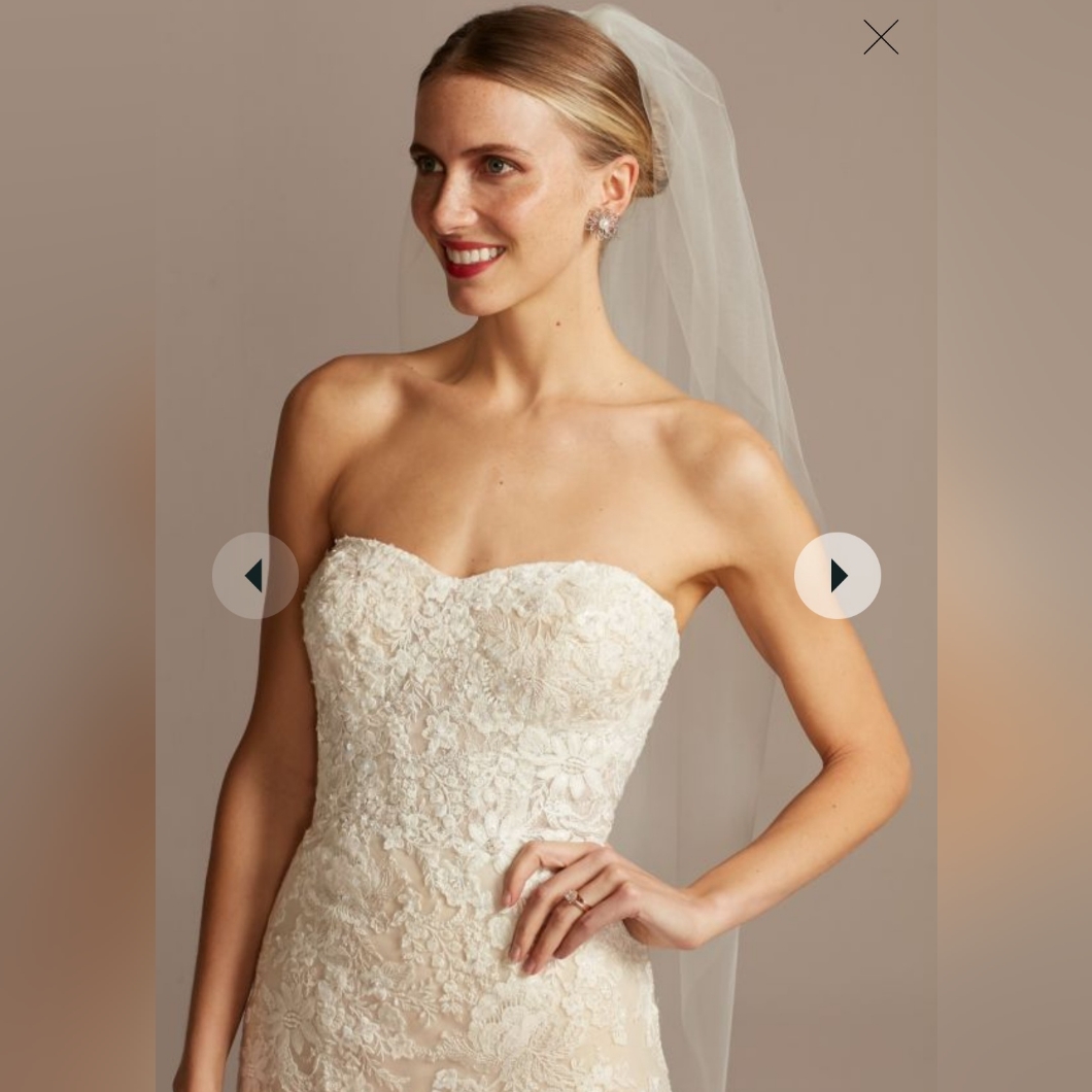 Dress, Wedding Dress, David's Bridal Sheer Bod Lace Ivychamp #Wg3964 #10012816